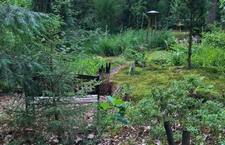 Unterkunft 542626 - Ferienhaus Vechtstreek - Vakantiehuisje in Lemele
