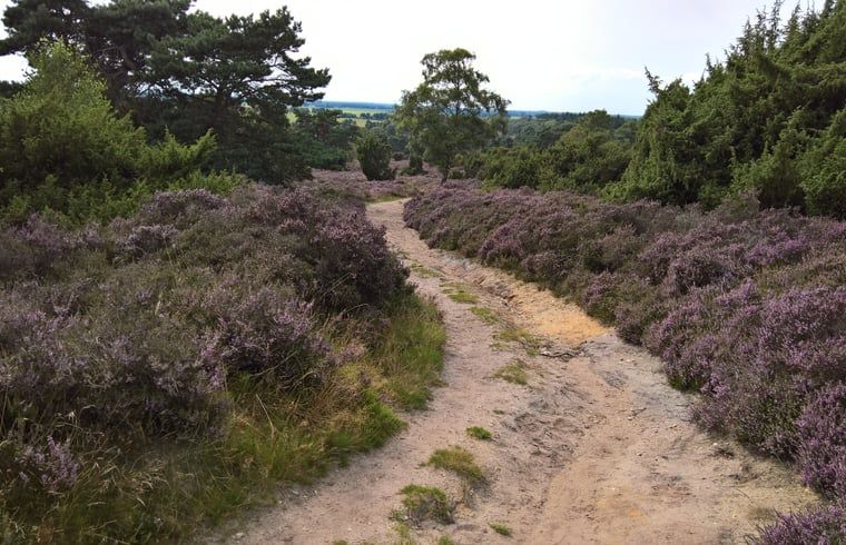 Unterkunft 542626 - Ferienhaus Vechtstreek - Vakantiehuisje in Lemele