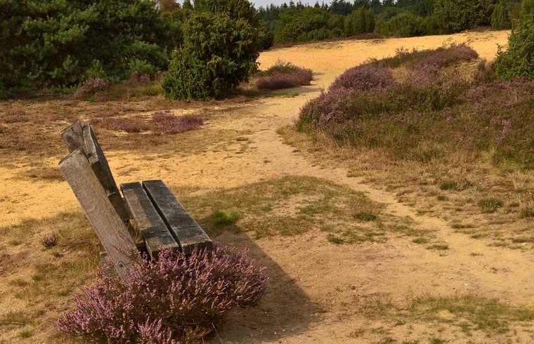 Unterkunft 542626 - Ferienhaus Vechtstreek - Vakantiehuisje in Lemele