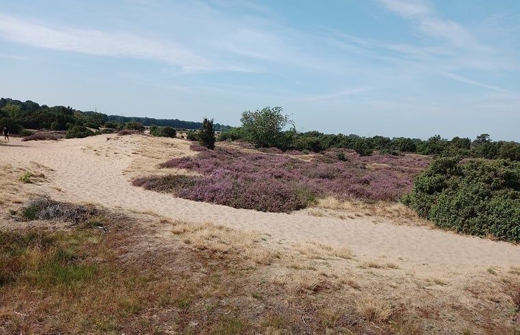 Unterkunft 542626 - Ferienhaus Vechtstreek - Vakantiehuisje in Lemele