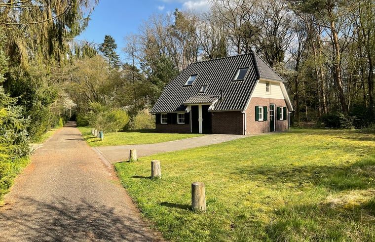 Ferienhaus in Lemele, ein charmantes Ferienhaus in der Region Vecht, Overijssel, umgeben von ueppiger Natur und ruhiger Umgebung.