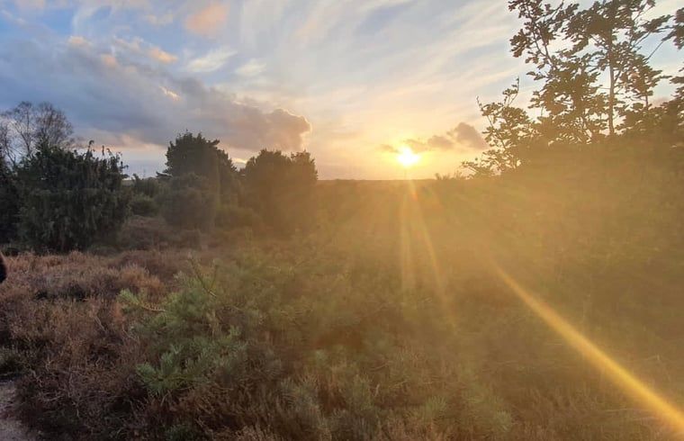 Unterkunft 542627 - Ferienhaus Vechtstreek - Vakantiehuis in Lemele
