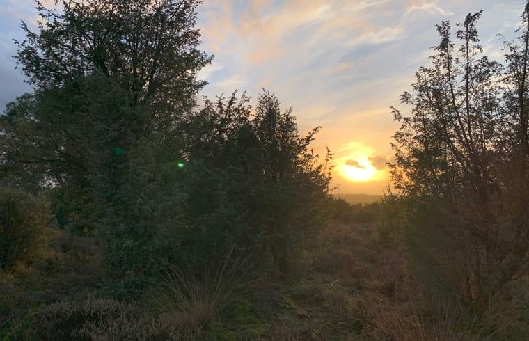 Unterkunft 542627 - Ferienhaus Vechtstreek - Vakantiehuis in Lemele