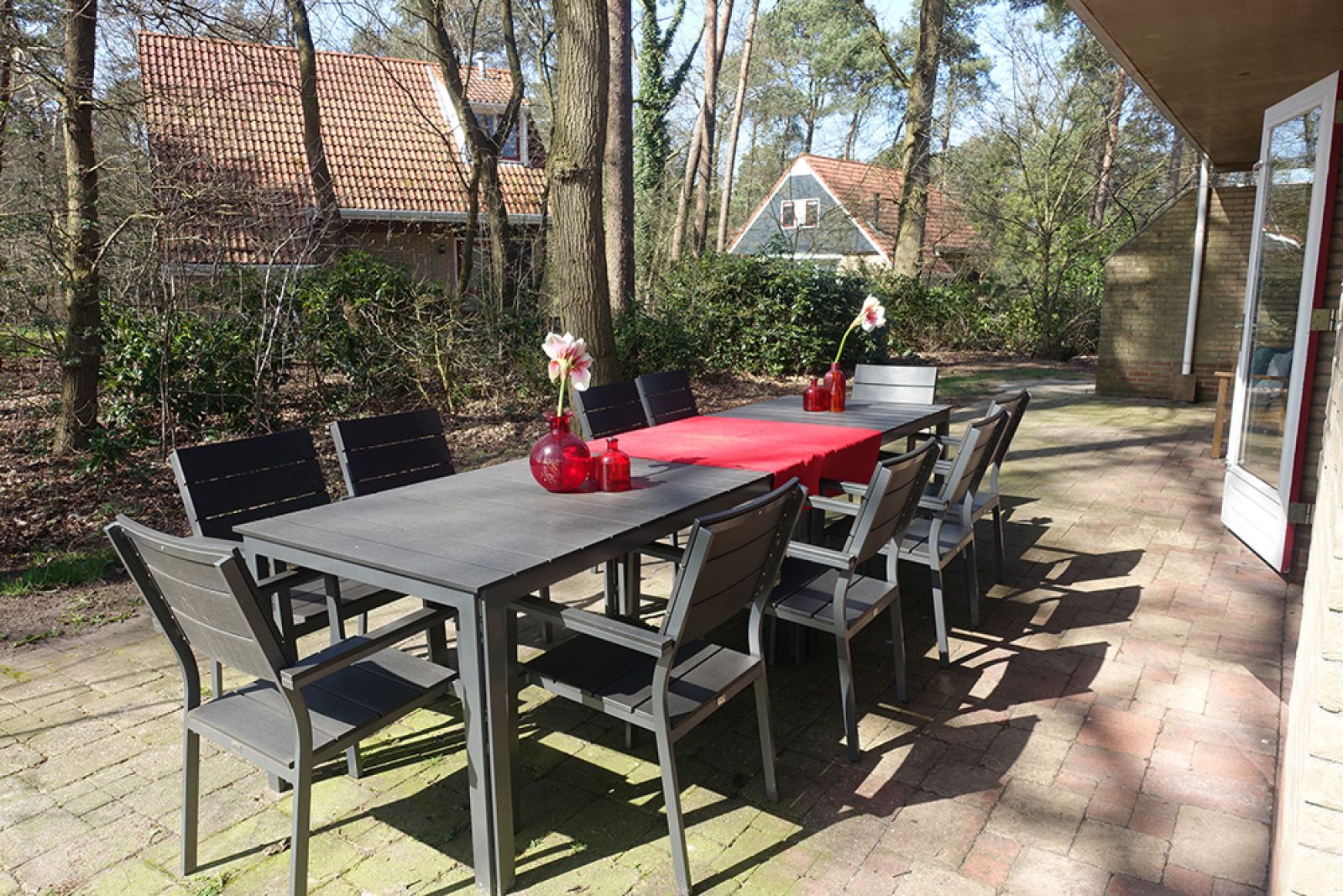 Herfstbos in de omgeving van vakantiehuis OV650, Lemele, Overijssel.