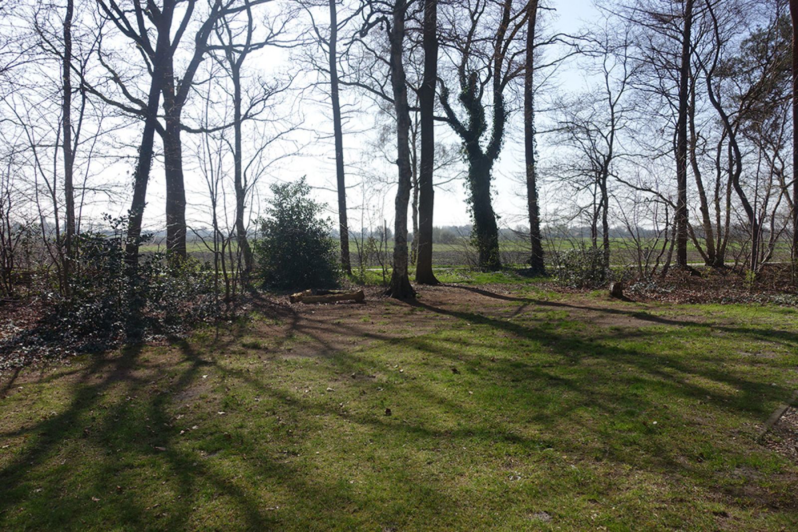 Sfeervolle boswandeling nabij vakantiehuis OV650, Lemele, Vechtstreek.