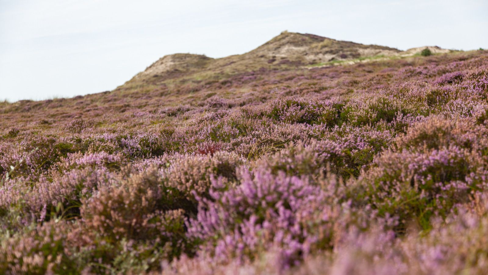 Volledig uitgeruste keuken in vakantiehuis OV650, Lemele, Overijssel.
