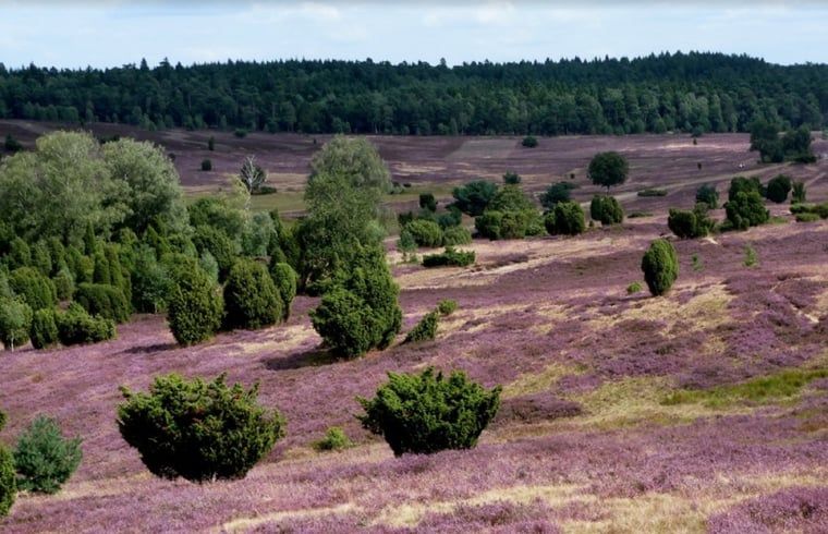 Rivierlandschap nabij Huisje in Lemele, Vechtstreek, Overijssel met grazende koeien.