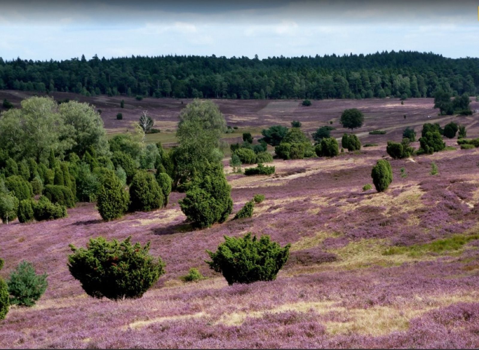 Gezellige slaapkamer in vakantiehuis OV677, Lemele, Overijssel.