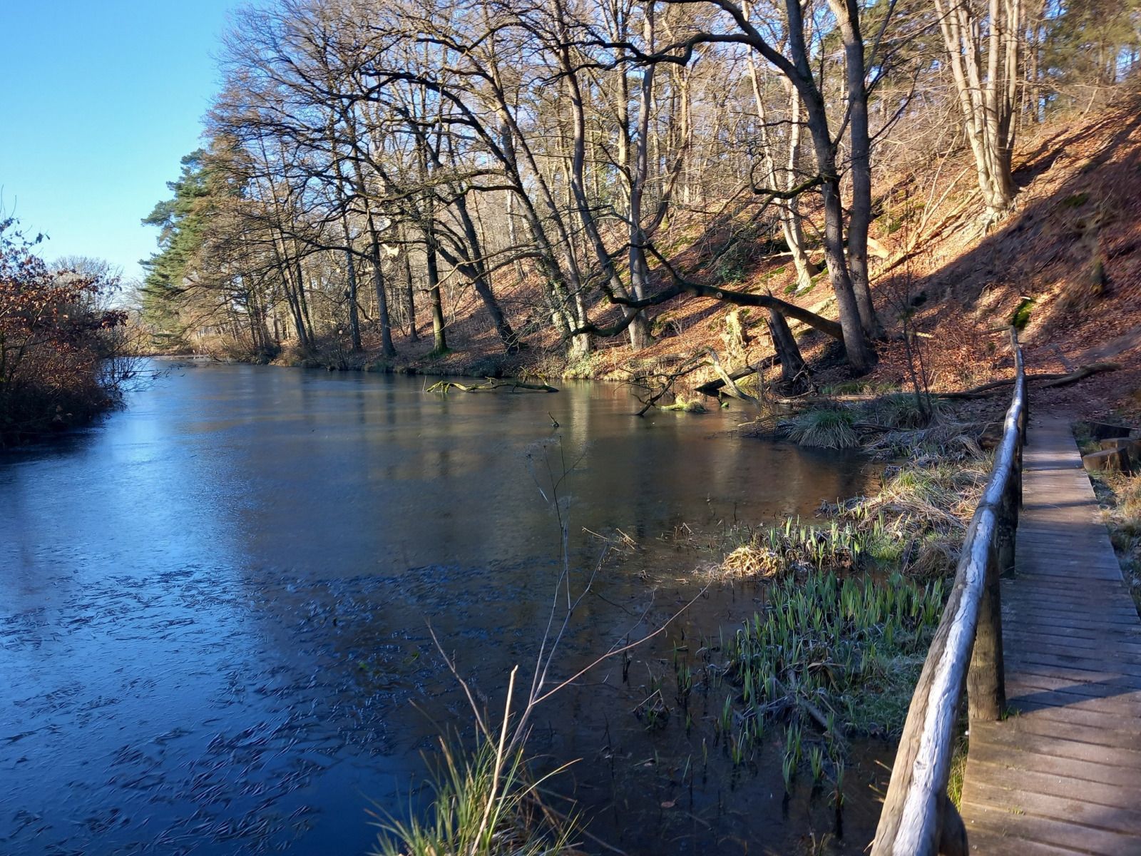 Uitgestrekte heidevelden nabij OV677 vakantiehuis in Lemele, Vechtstreek.