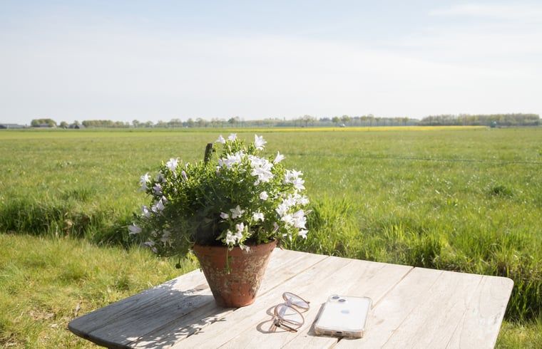Bloemen op tafel met uitzicht op de velden bij Vakantiehuisje in Stegeren, Overijssel.