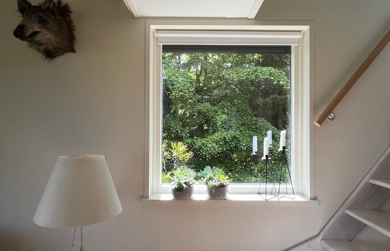 Uitzicht op het bos vanuit een raam in Vakantiehuisje in Stegeren, Vechtstreek.