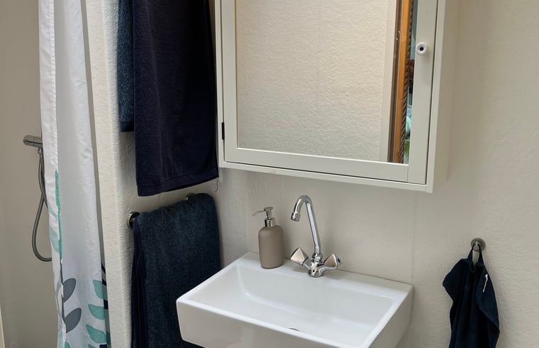 Moderne badkamer in Vakantiehuisje in Stegeren, ideaal voor een ontspannen verblijf in de Vechtstreek.