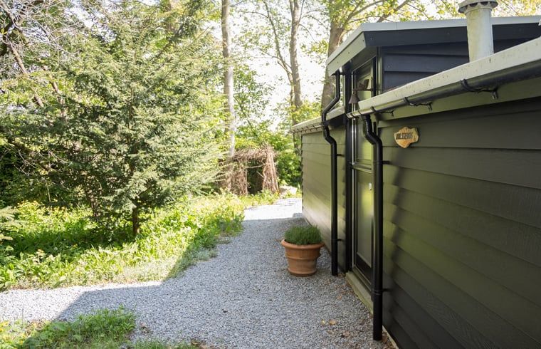 Pad naar de ingang van Vakantiehuisje in Stegeren, omgeven door groen in de Vechtstreek.