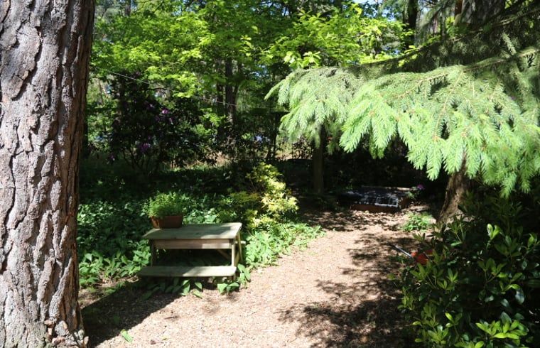 Unterkunft 542817 - Ferienhaus Vechtstreek - Vakantiehuisje in Stegeren