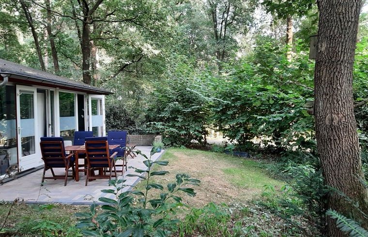 Ferienhaus in Stegeren mit Terrasse in gruener Umgebung, Vechtstreek, Overijssel