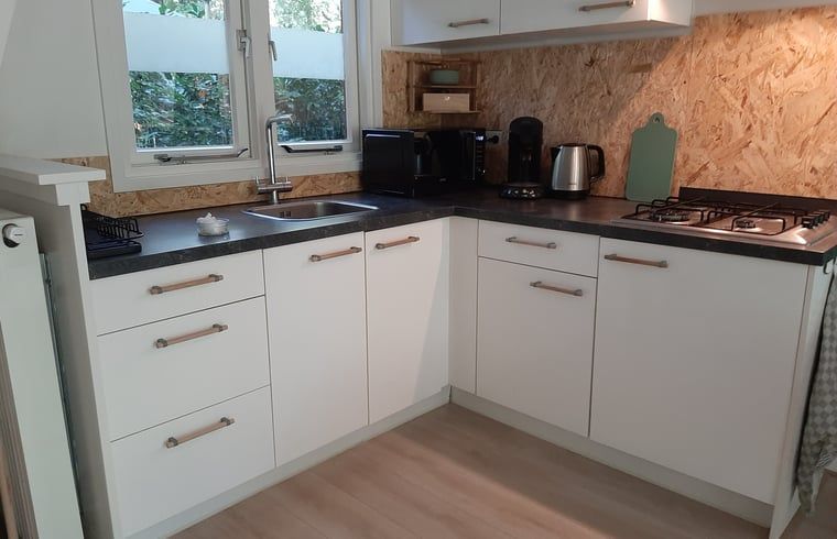 Stilvolles Wohnzimmer eines Ferienhauses in Stegeren, Vechtstreek, Overijssel mit gruener Einrichtung und Essbereich.