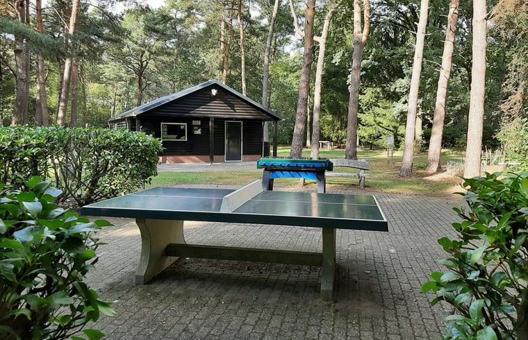 Spielplatz im Ferienhaus in Stegeren, umgeben von waldreicher Natur in der Region Vecht, Overijssel, ideal fuer Familien.