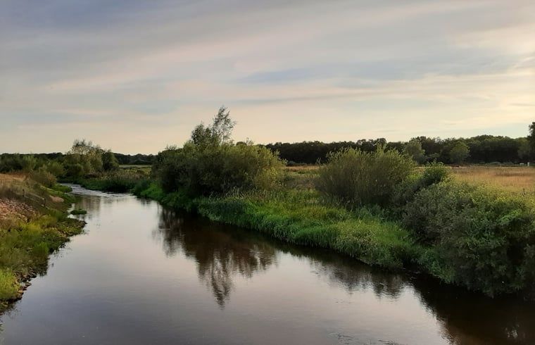 Rustikaler Weg zum Ferienhaus in Stegeren, umgeben von ueppiger Natur in der Region Vecht, Overijssel.