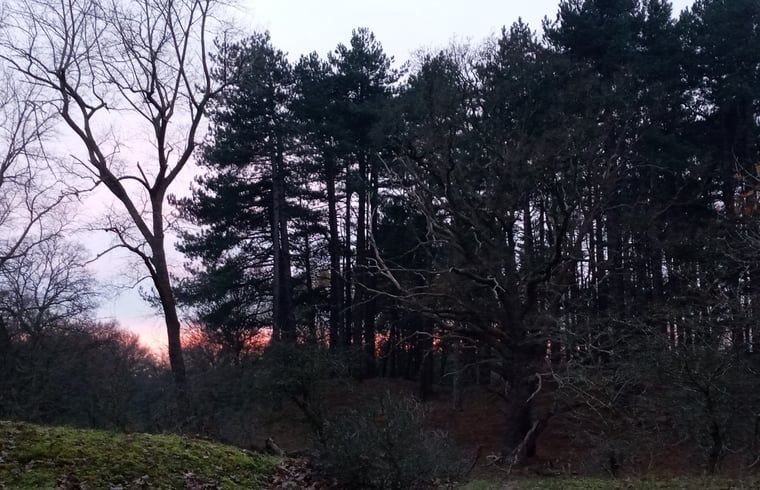 Ruhige Natur rund um das Ferienhaus in Stegeren, in der Region Vecht, Overijssel, mit ruhigem Wasser und gruenen Baeumen.