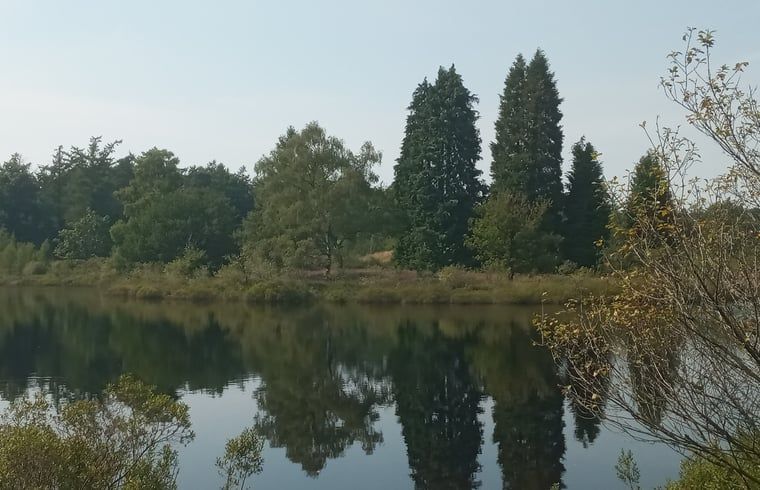 Winterlandschaft im Ferienhaus in Stegeren, Region Vecht, Overijssel, umgeben von verschneiter Natur und ruhiger Aussicht.