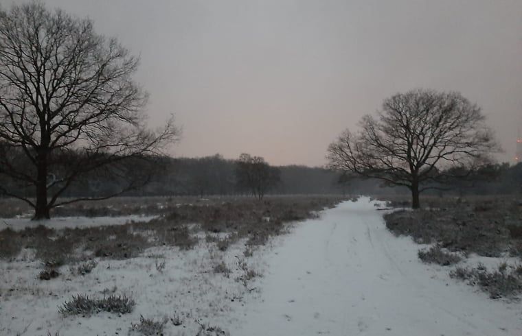 Unterkunft 542821 - Ferienhaus Vechtstreek - Vakantiehuis in Stegeren