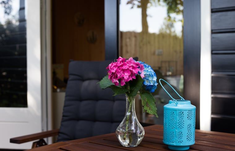 Bloemen op het terras van Vakantiehuis in Bruchterveld, charmante details in Vechtstreek, Overijssel.