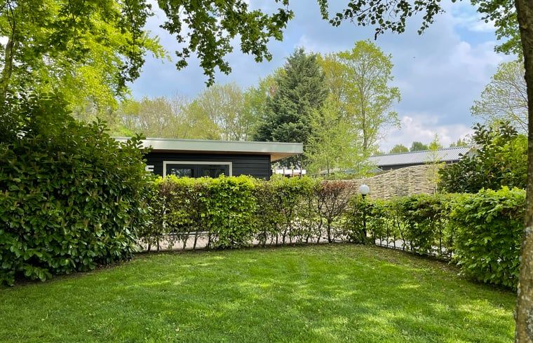 Buitenruimte met bloemen bij Vakantiehuis in Bruchterveld, kleurrijke details in Vechtstreek, Overijssel.