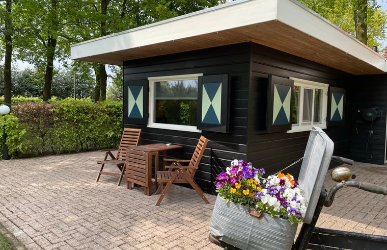 Groene haag bij Vakantiehuis in Bruchterveld, privacy en rust in Vechtstreek, Overijssel.