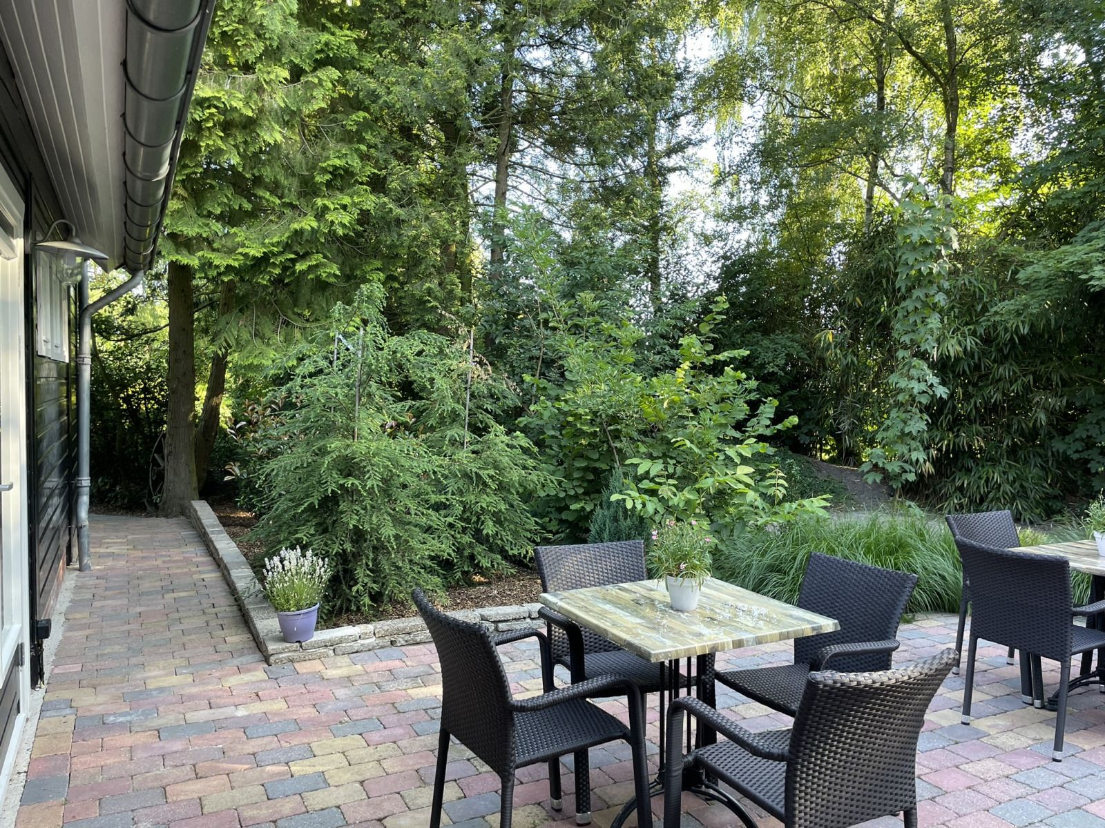 Verblijf 542908 - Vakantiewoning Vechtstreek - OV709