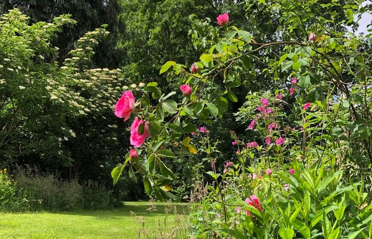 Verblijf 543102 - Vakantiewoning Vechtstreek - Vakantiehuisje in Den Velde