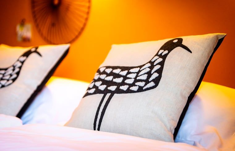 Decorative pillows on bed in Holiday home in Hoonhorst, tranquility in the Vecht region, Overijssel.