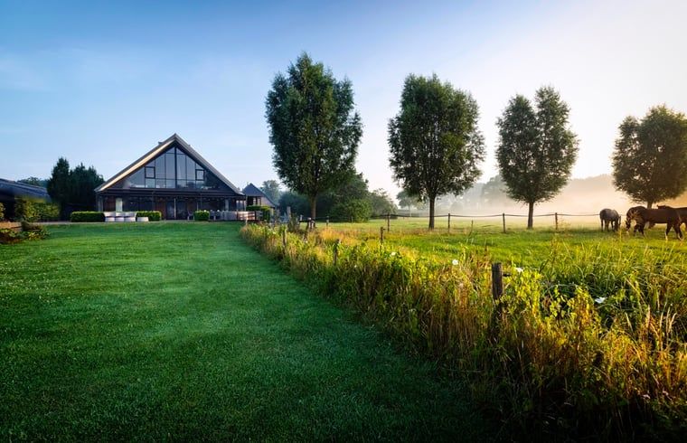 Green meadow next to Holiday home in Hoonhorst, natural surroundings in the Vecht region, Overijssel.