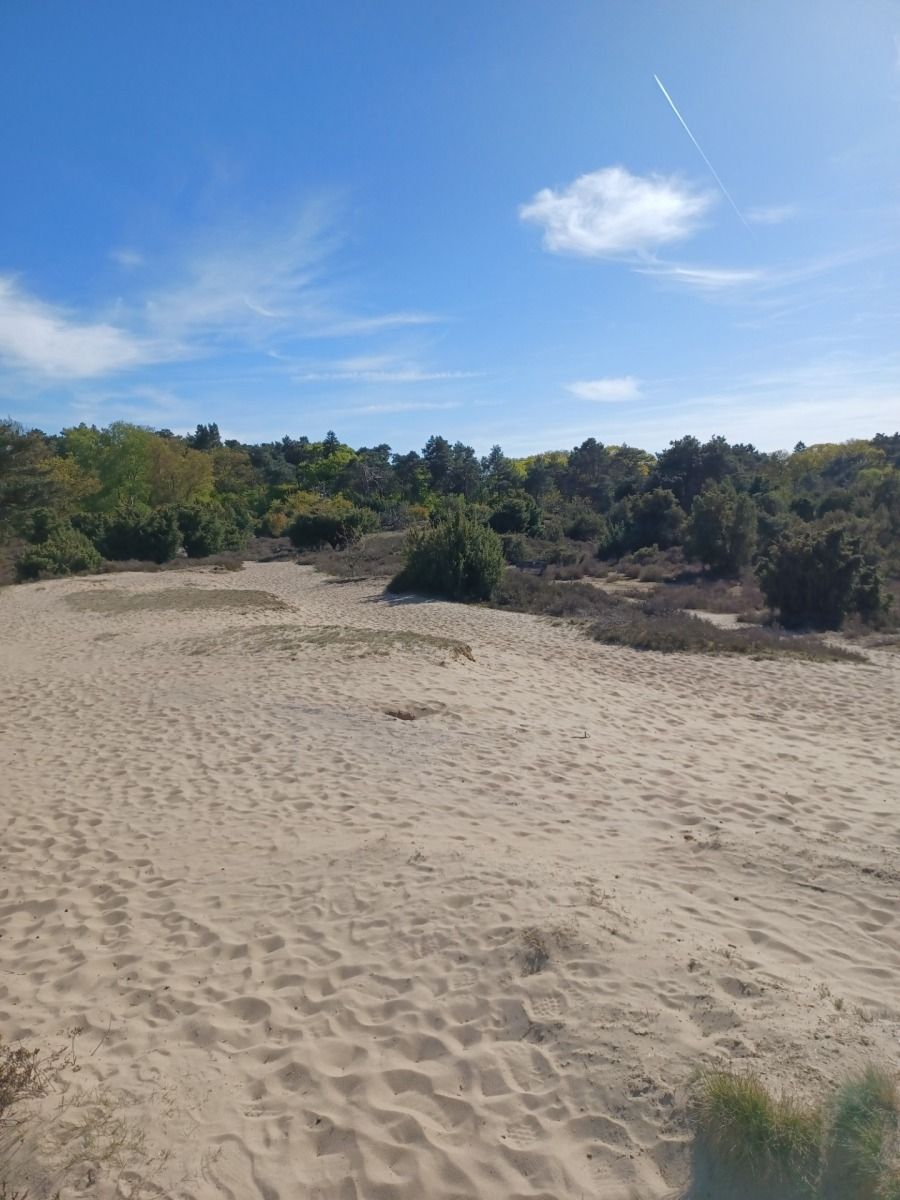 Verblijf 543406 - Vakantiewoning Vechtstreek - OV795