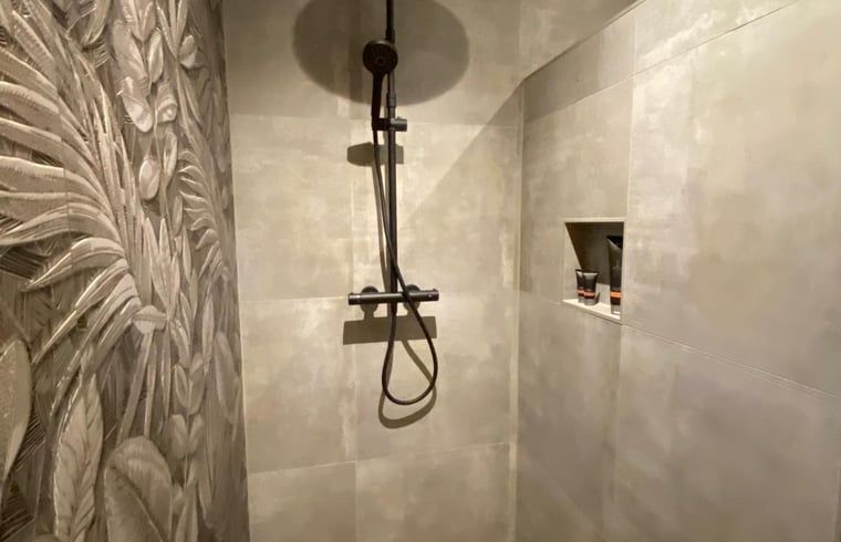 Stylish shower with nature motif in cottage in Kloosterhaar, Vechtstreek, Overijssel.