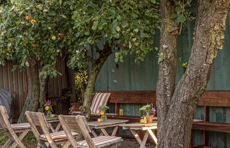 Guest house 543603 - Holiday property Vechtstreek - Vakantiehuisje in Kloosterhaar