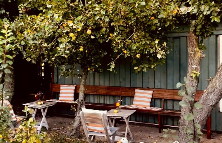 Guest house 543603 - Holiday property Vechtstreek - Vakantiehuisje in Kloosterhaar