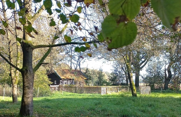 Rustiek vakantiehuis in Brucht, Vechtstreek, Overijssel omringd door groene natuur en bomen.