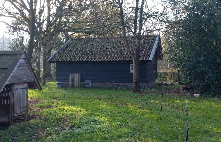 Gezellig vakantiehuis in Brucht, Vechtstreek, Overijssel met groene tuin en schuur.