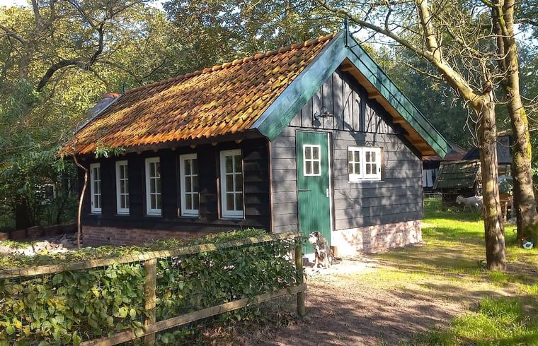 Vakantiehuis in Brucht, Vechtstreek, Overijssel met een uitnodigende groene deur.