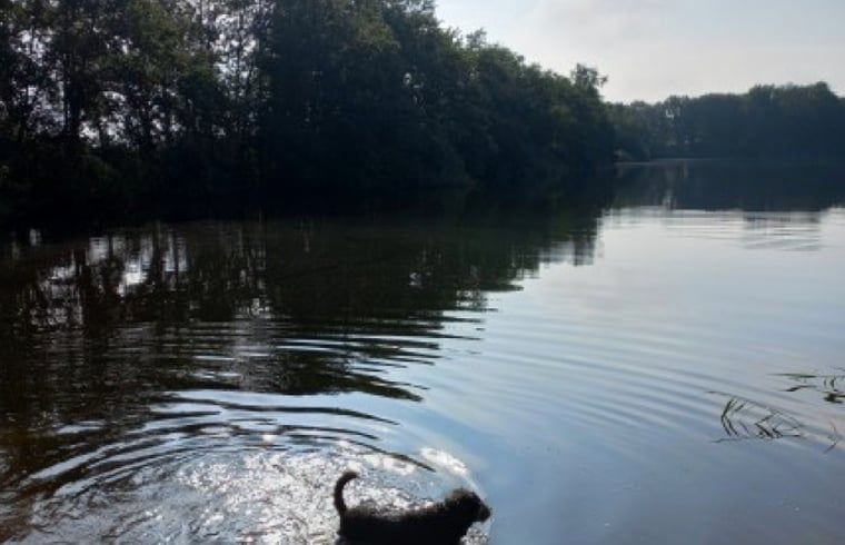 Rustgevend meer bij vakantiehuis in Brucht, Vechtstreek, Overijssel omgeven door natuur.