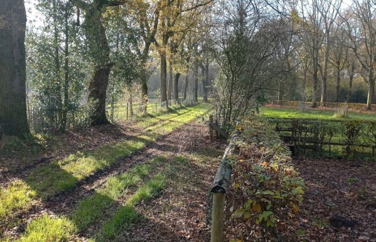 Natuurlijke wandelpaden bij vakantiehuis in Brucht, Vechtstreek, Overijssel omringd door bomen.