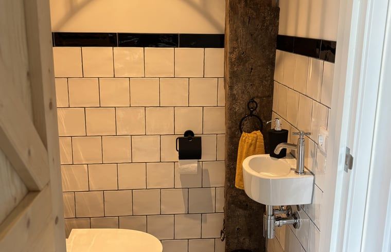 Unterkunft 544602 - Ferienhaus Vechtstreek - Vakantiehuis in Holthone