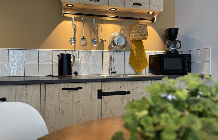 Unterkunft 544602 - Ferienhaus Vechtstreek - Vakantiehuis in Holthone