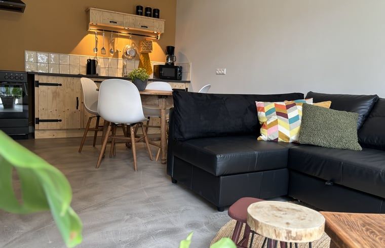 Unterkunft 544602 - Ferienhaus Vechtstreek - Vakantiehuis in Holthone