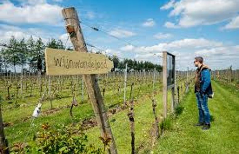 Unterkunft 544701 - Ferienhaus Vechtstreek - Vakantiehuisje in Witharen