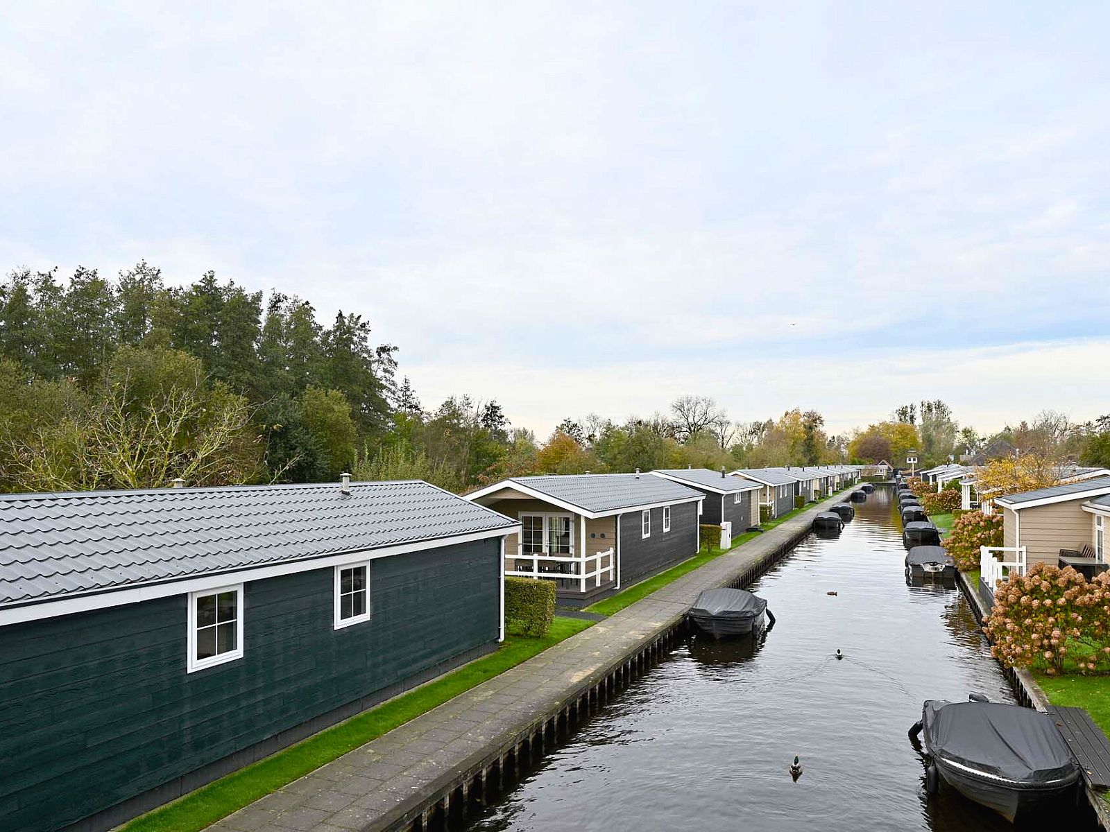 Guest house 5501100 - Chalet Noordwest Overijssel - Chalet in Giethoorn