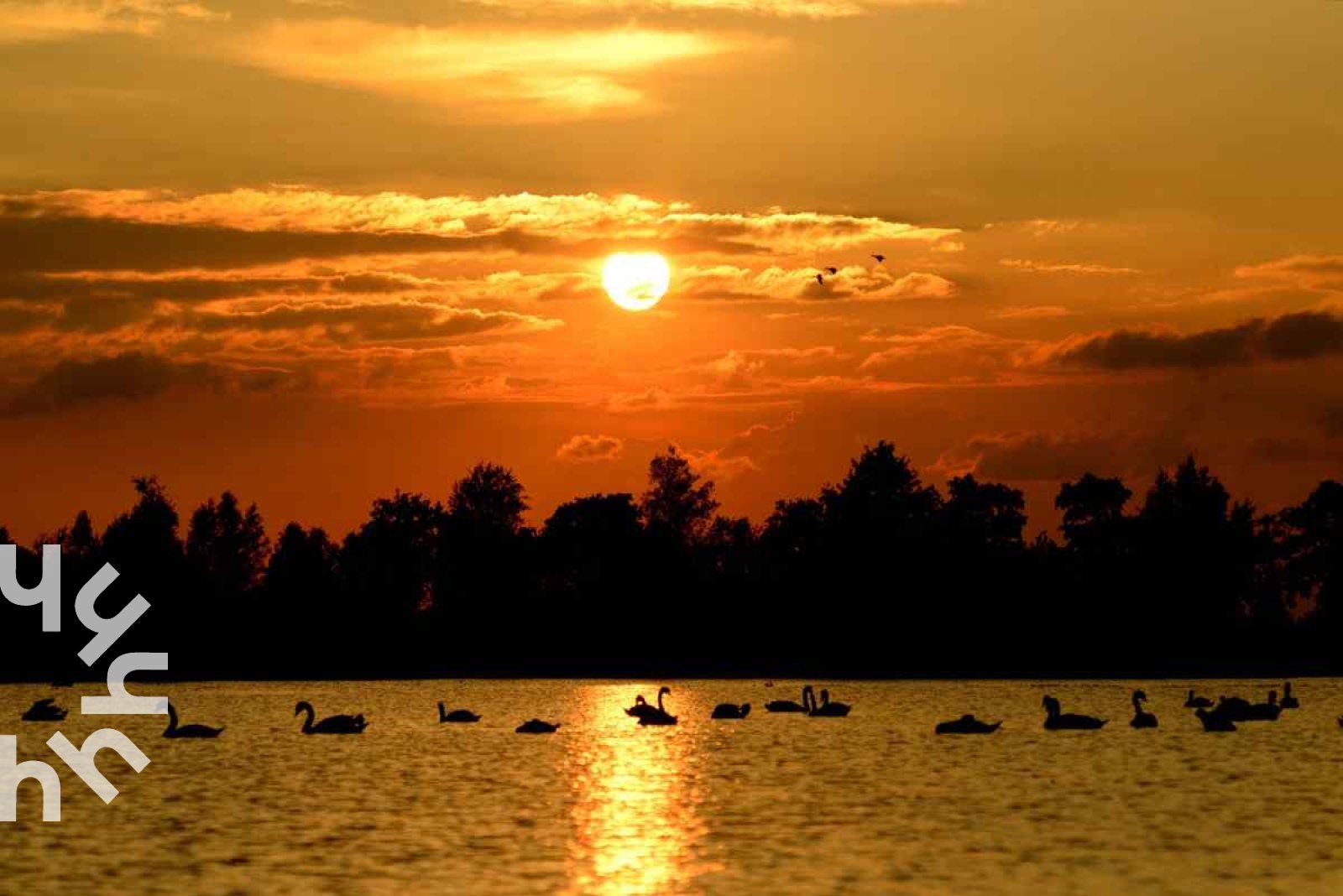 Kanus und Boote im Ferienhaus OV269 in Giethoorn, Nordwest Overijssel, umgeben von Natur.