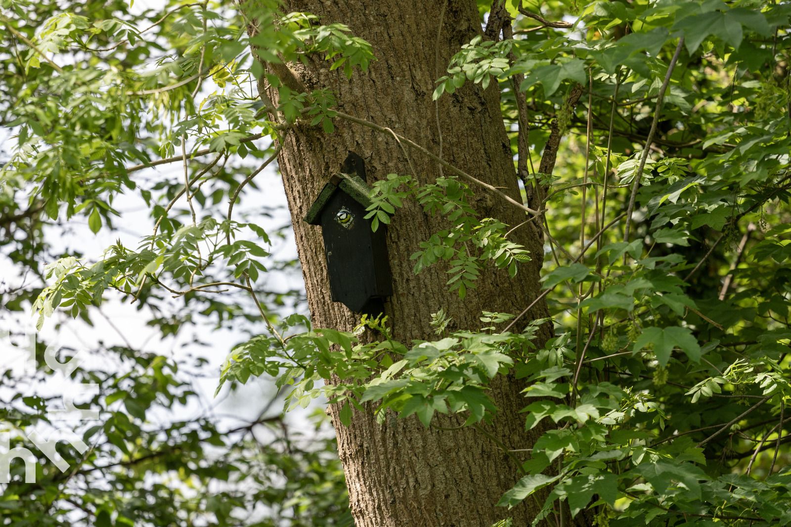 Atemberaubender Sonnenuntergang ueber dem Wasser in der Naehe des Ferienhauses OV269 in Giethoorn, Nordwest Overijssel.