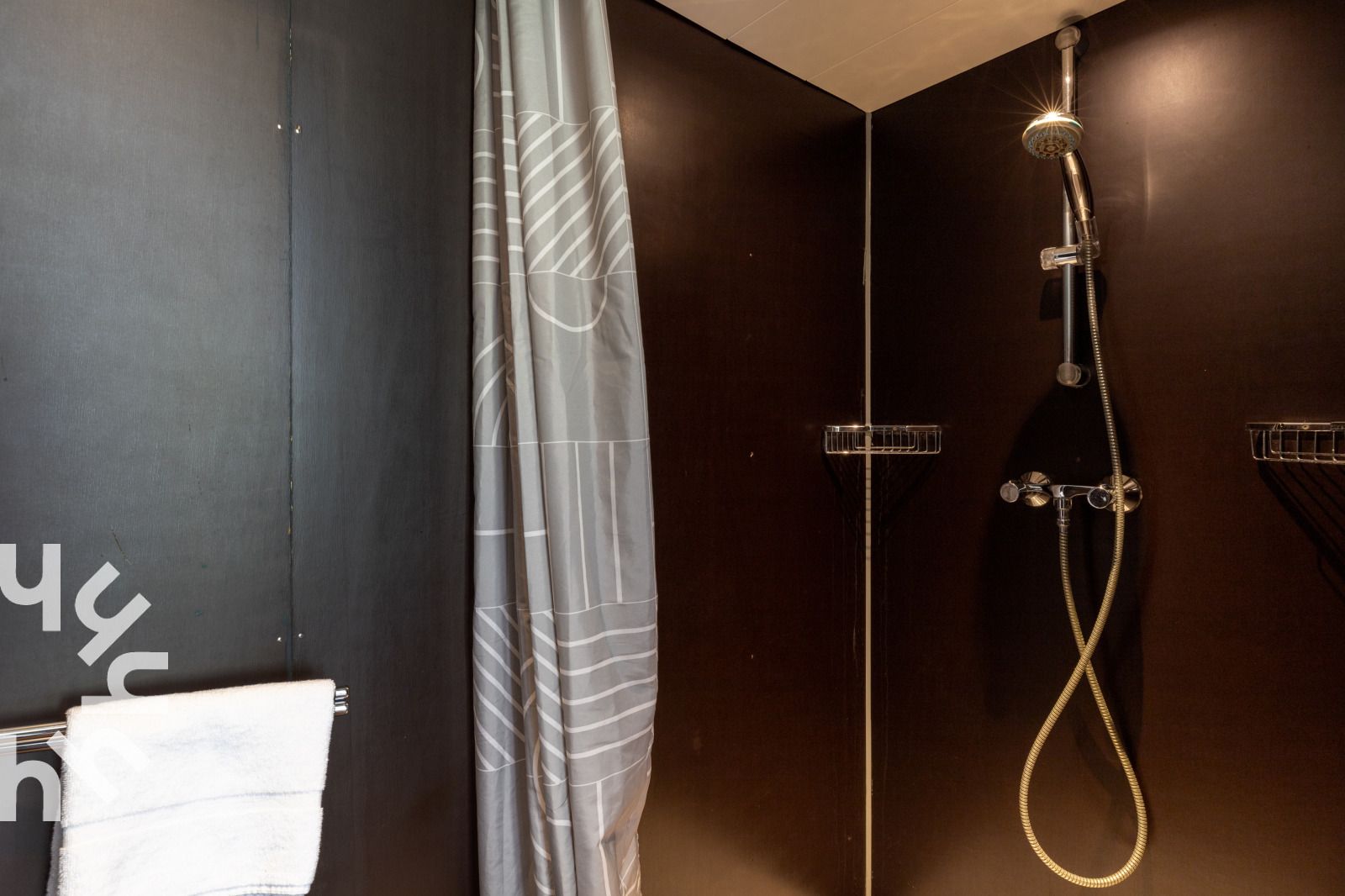 Rustieke weide met koeien nabij OV270 vakantiehuis in Giethoorn, omgeven door de natuur van Noordwest Overijssel.