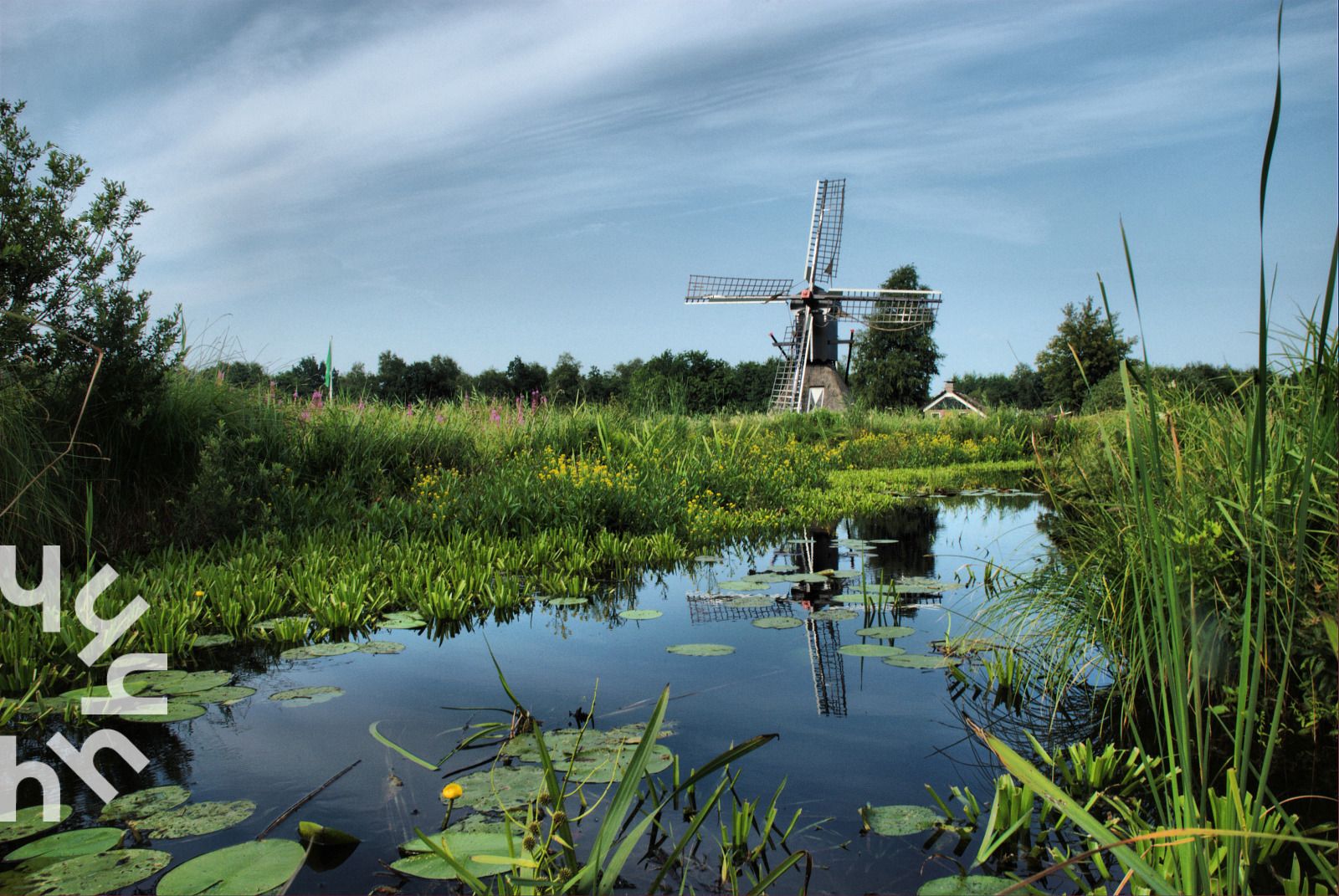 Vogelhuisje in de bomen bij OV270 vakantiehuis Giethoorn, een natuurlijke omgeving in Noordwest Overijssel.